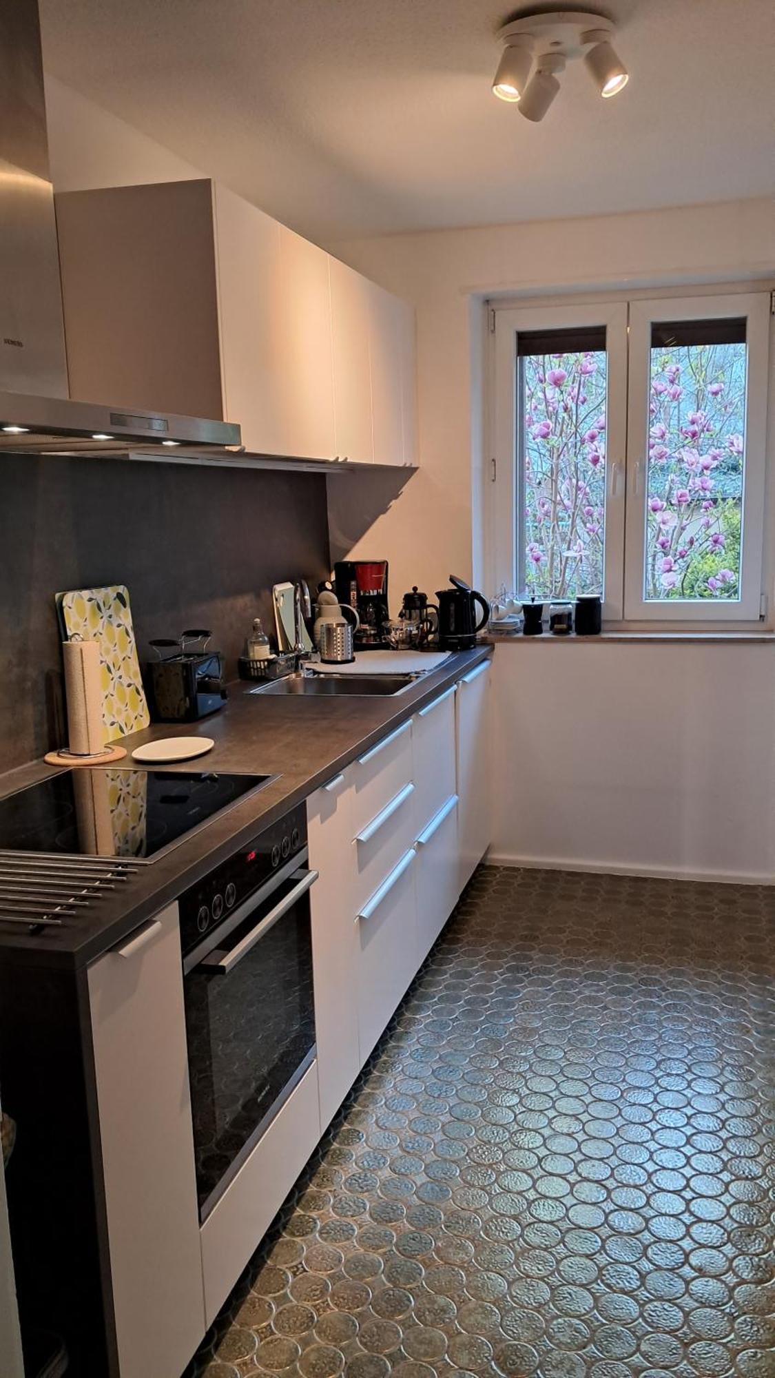 Wohnung Medicus, 3 Zkb, Balkon, Garten, Naehe Stadtpark, Ruhig Kaiserslautern Eksteriør billede