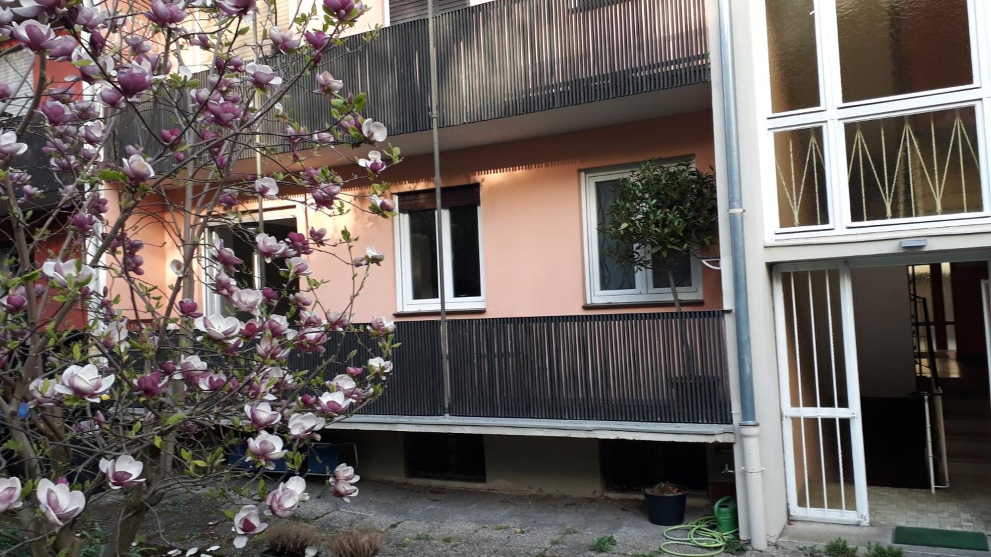 Wohnung Medicus, 3 Zkb, Balkon, Garten, Naehe Stadtpark, Ruhig Kaiserslautern Eksteriør billede